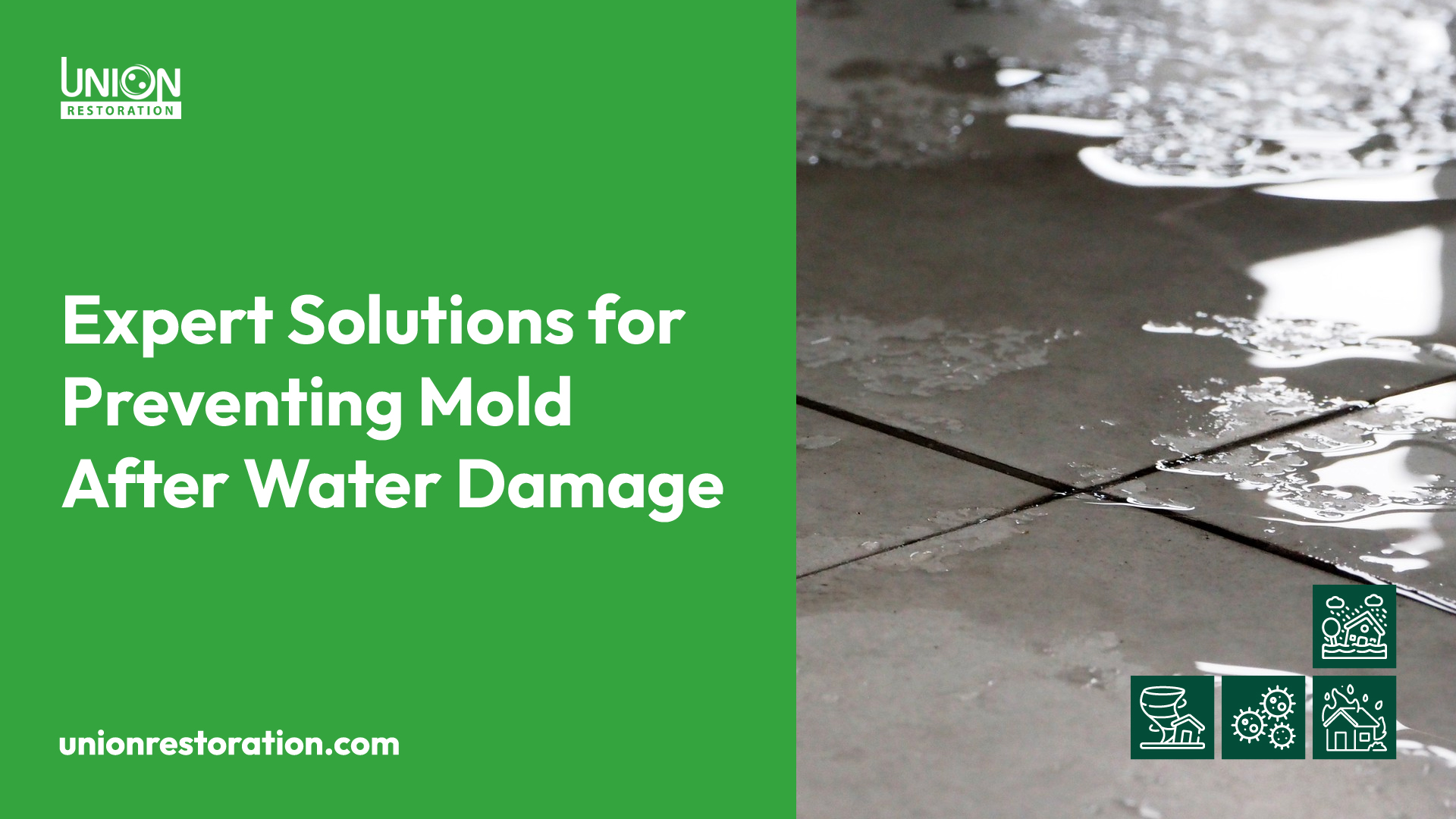 Expert Solutions for Preventing Mold After Water Damage